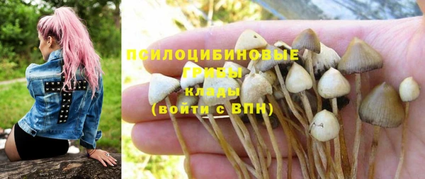 кристаллы Алзамай